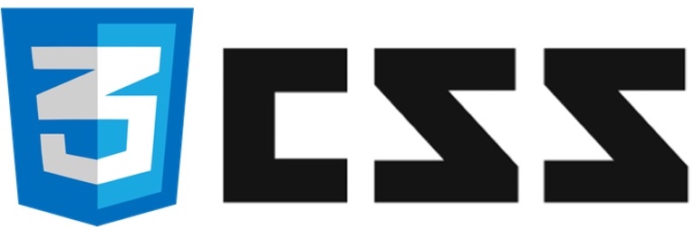 css-logo-image